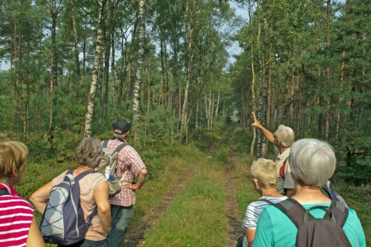 Foto: Bomenwandeling over Majuba en Scherpenberg