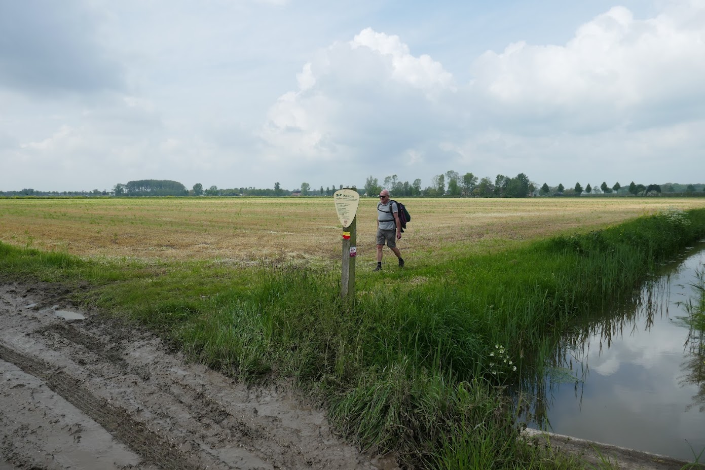 Foto: Webinarreeks Groen van toen, en nu dan?