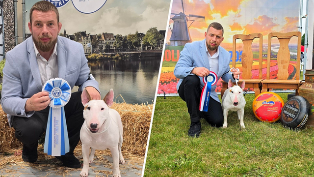 Foto: Piggy uit Nijkerk is de mooiste teef van de Benelux