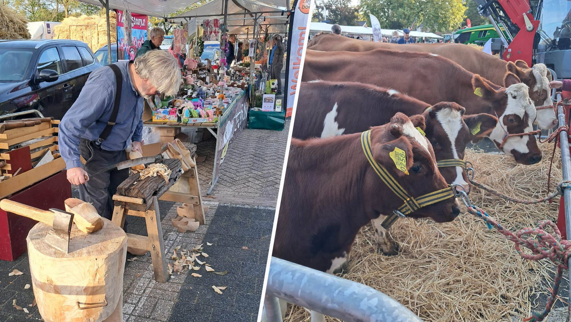 Foto: Ossenmarkt brengt oude tijden tot leven in Putten