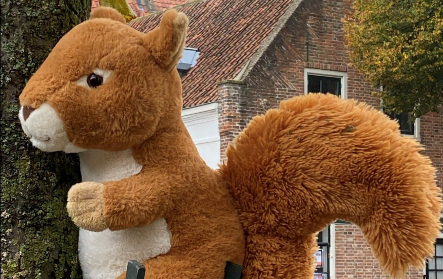 Foto: Museum Elburg speurtocht kinderen Eefje Eekhoorn