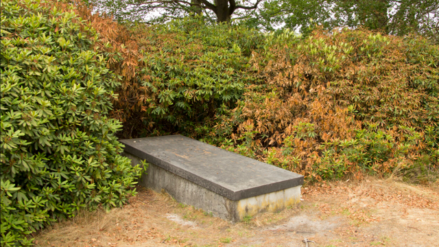 Foto: Cultuurhistorische wandeling over landgoed De Dellen