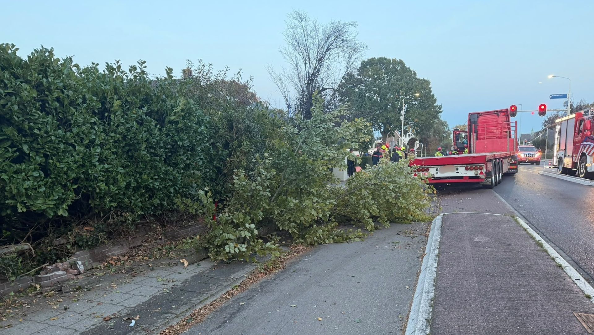 Foto: Vrachtwagenchauffeur wordt onwel en rijdt boom omver in Elburg