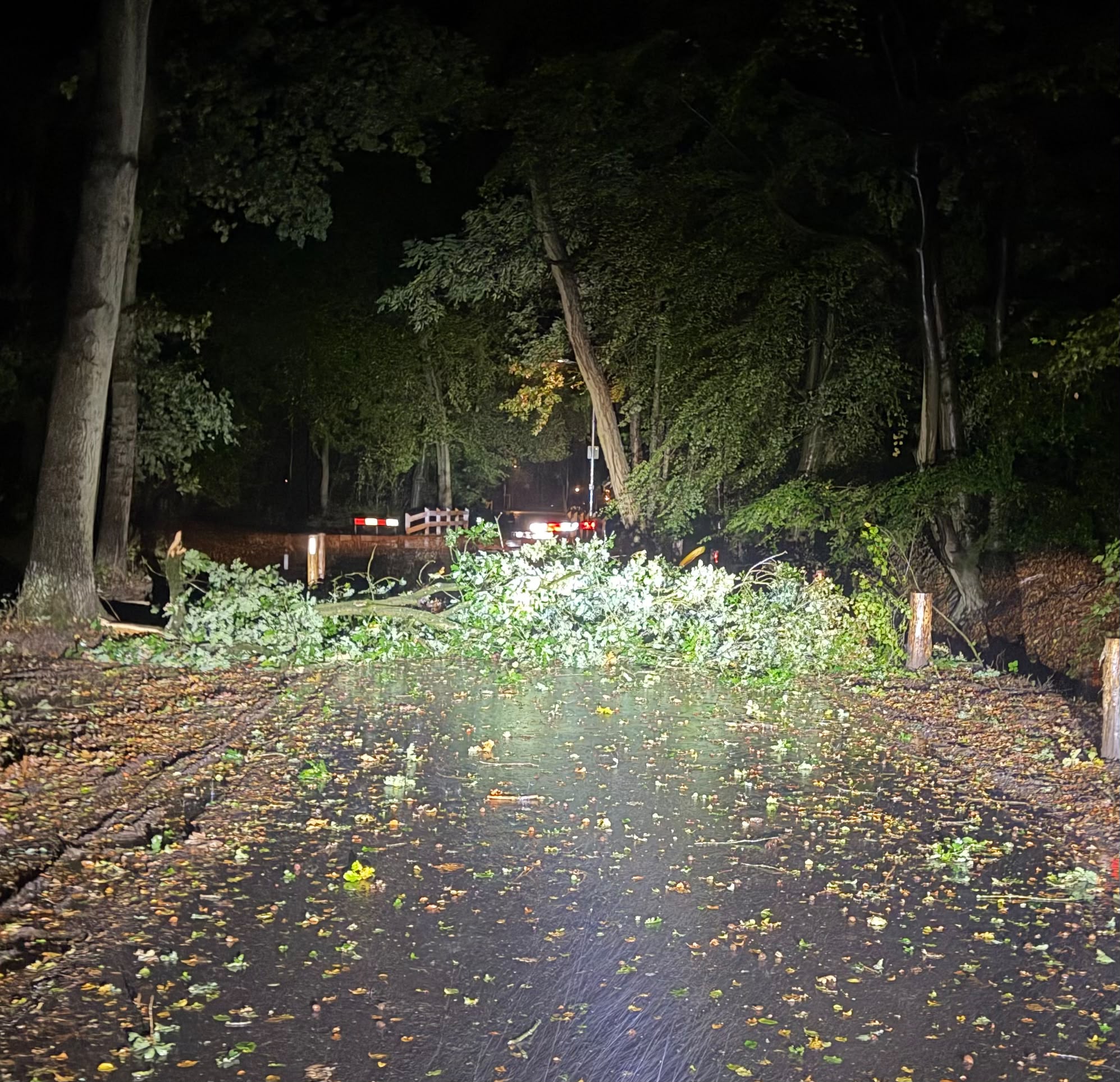 Foto: Storm Boelo laat sporen na in Hulshorst