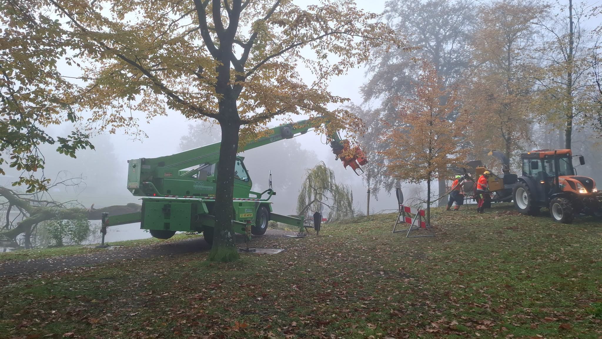 Omgewaaide treurwilg op de wallen van Elburg weggehaald