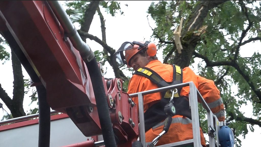 Foto: Personeel in de groenvoorziening erg gewild