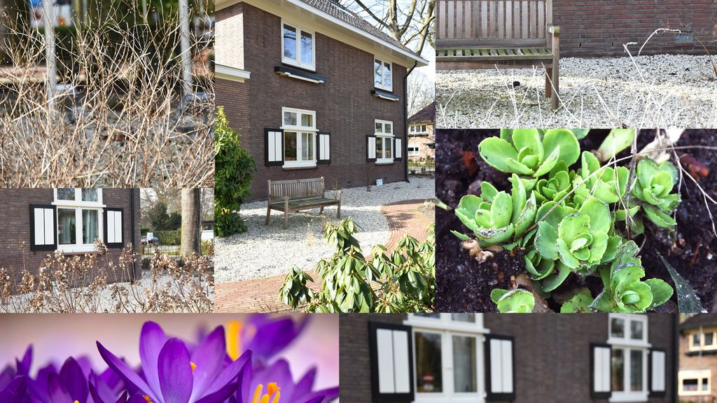 Foto: Open dag bij hospice Casa Vera