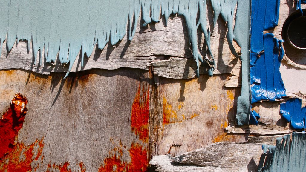 Foto: Fotoclub AFV Epe trots als een pauw