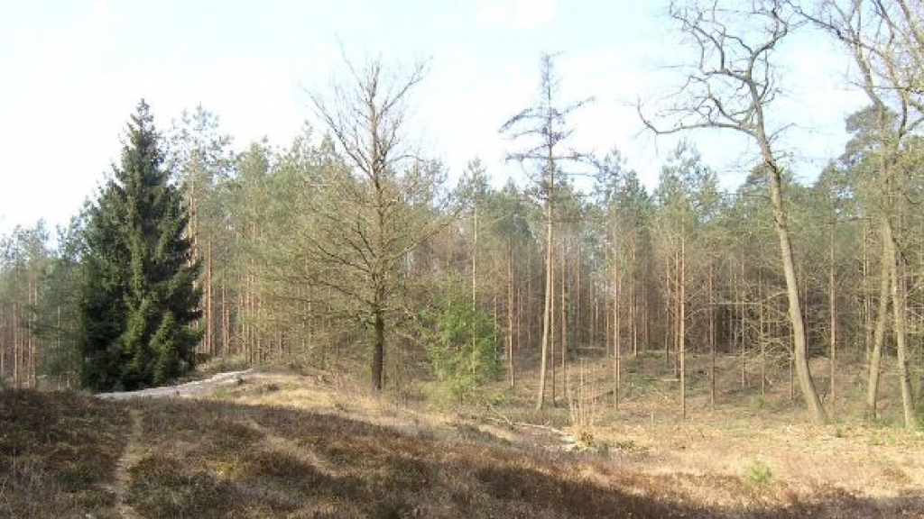 Foto: Geen natuurbegraafplaats op De Polberg in Wapenveld