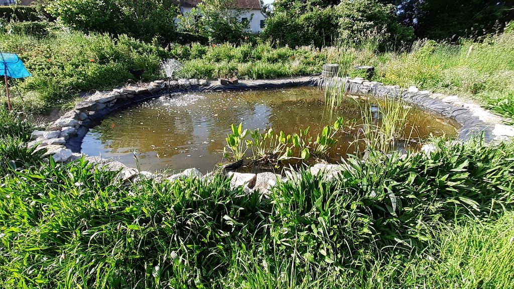 Foto: Open tuinen weekend