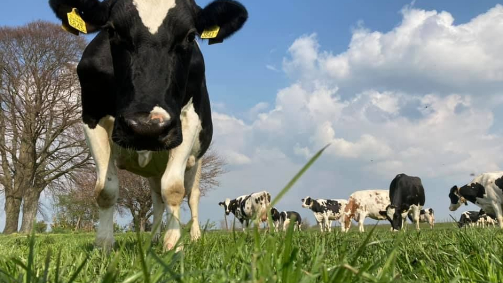 Foto: Boerderijenfietstocht door IJsselvallei en Veluwe