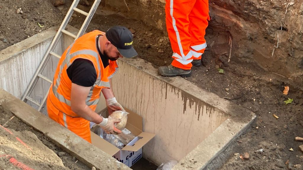 Foto: Zestig skeletten krijgen eindelijk hun laatste rustplaats
