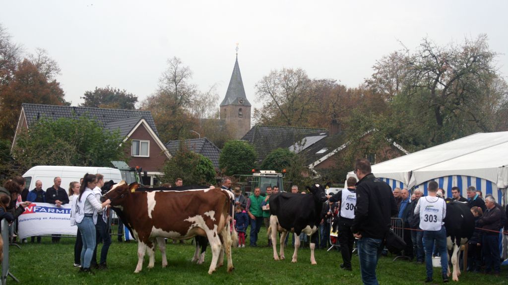 Foto: 165ste Oener Koefeest jaar uitgesteld