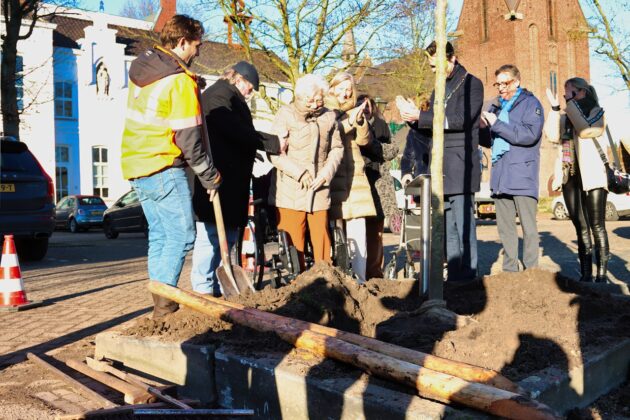 Foto: Boom geplant voor 100-jarige mevrouw van Elderen