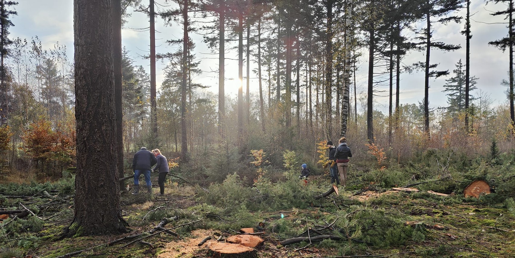 8 mrt: Draag bij aan de natuur op Schoorsveld