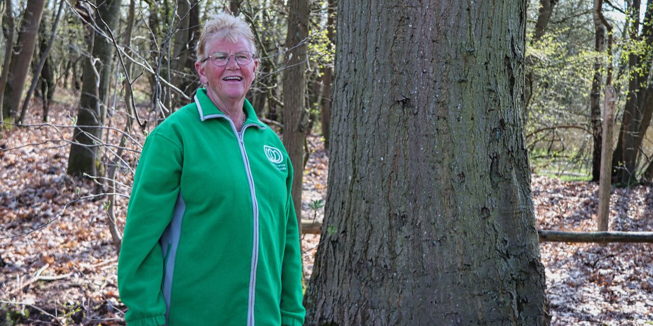 Foto: ‘Ommetjes’ in Valkenswaard