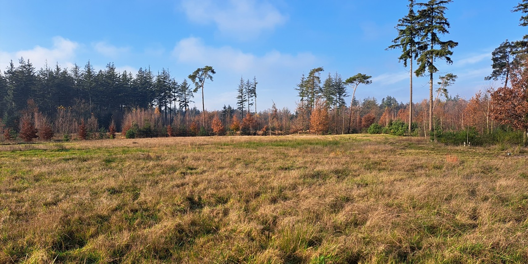 13 apr: Schoorsveld door het oog van de lens