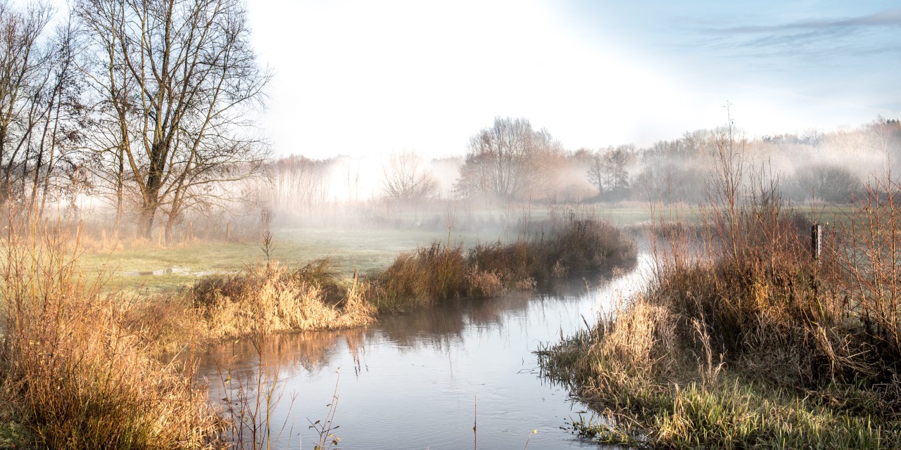 Ontwaken met de natuur in het beekdal van de Kleine Dommel