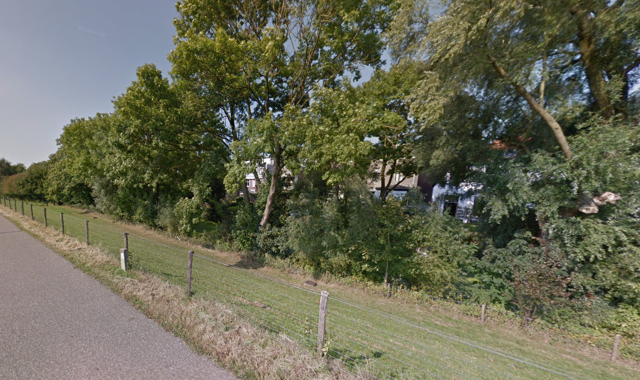 Foto: Kappen met de Botte Bijl: Bewoners Grebbedijk Zorgen over Bomenkap bij Dijkverzwaring