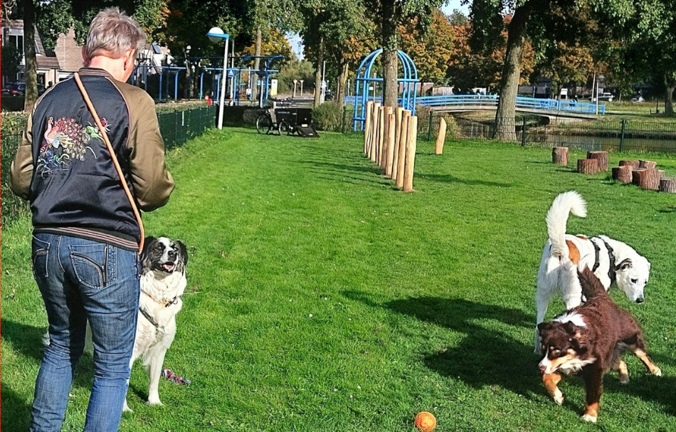 Foto: Wageningen's Primeur: Minibieb voor Hondenspeeltjes