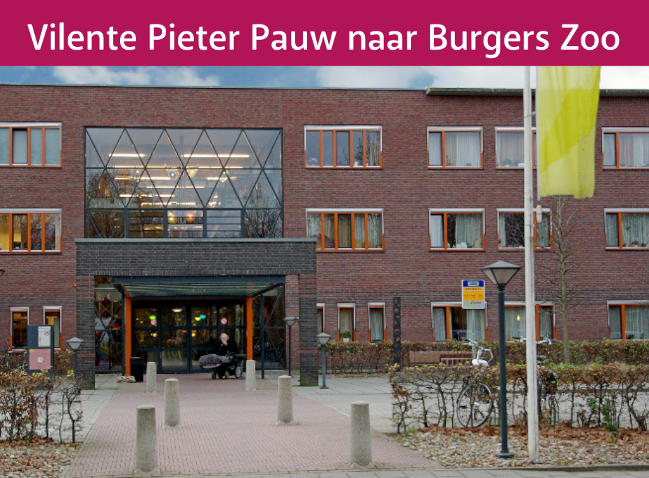 Foto: Vilente Pieter Pauw organiseert een uitje naar Burgers' Zoo