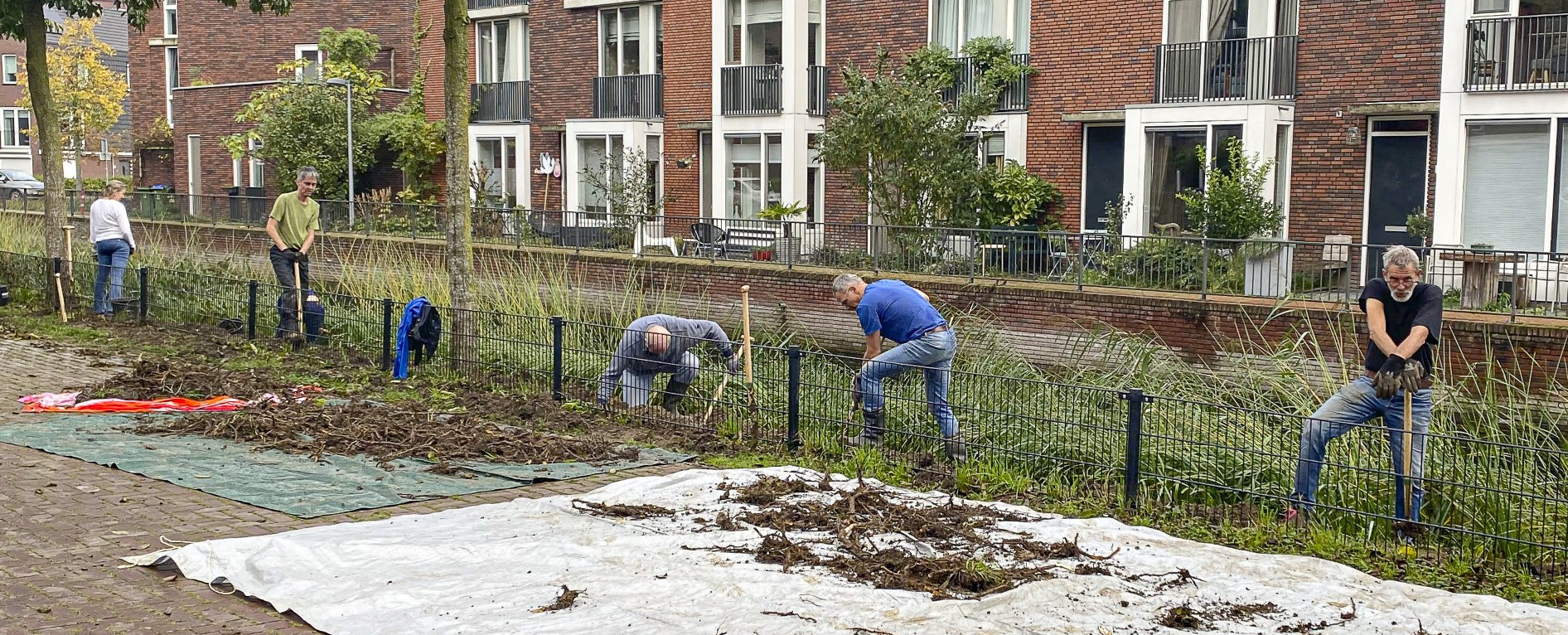 Foto: Wageningers binden strijd aan met de Japanse duizendknoop