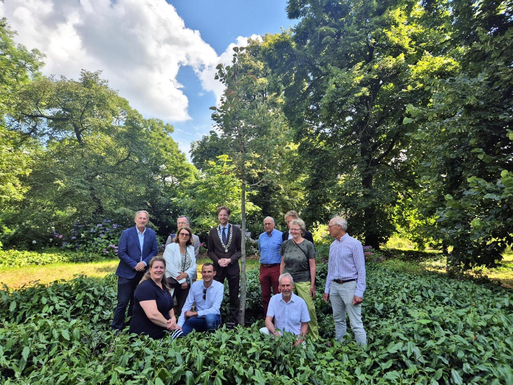 Foto: Nieuwe Bijzondere Boom voor Belmonte Arboretum