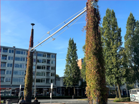 Foto: Vergroening busstation Stadsbrink