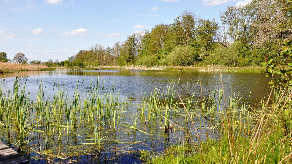 Foto: Geef online uw mening over het Wagenings Buitengebied