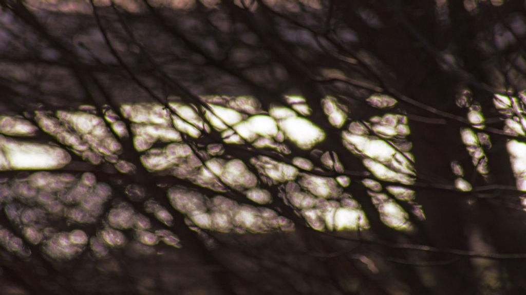 Foto: Praat mee over een wereld zonder racisme