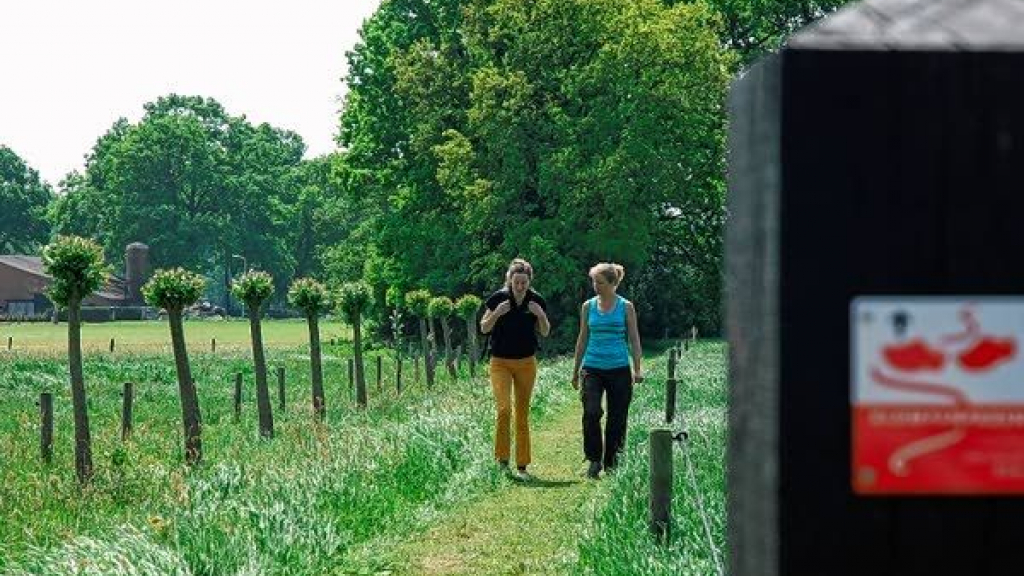 Foto: Kunst aan het klompenpad groot succes