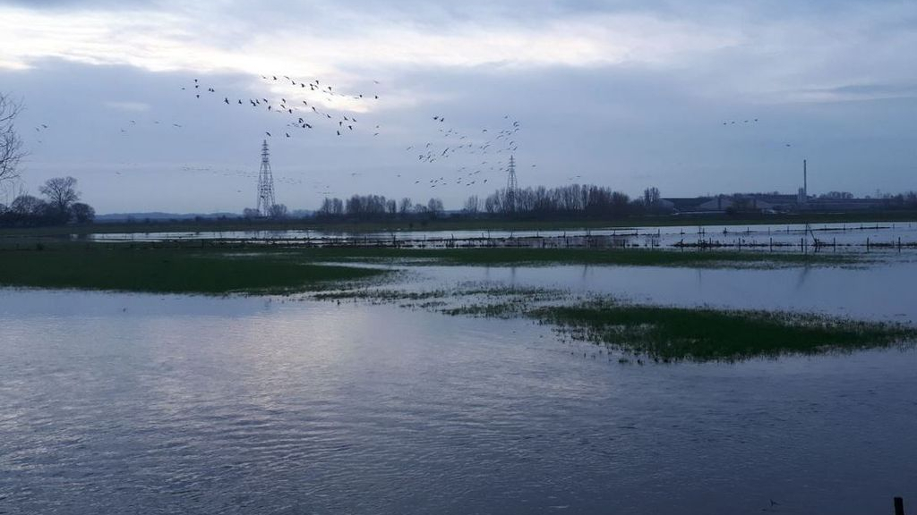 Foto: Hoogwater verwacht in de Nederrijn