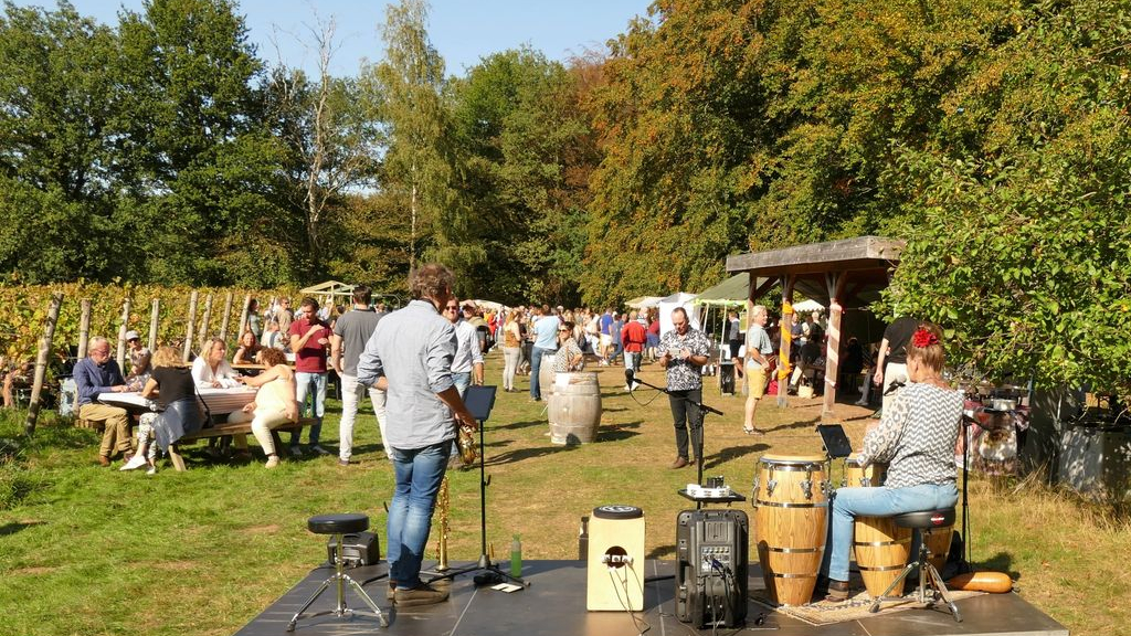 Foto: Kom de oogst proeven op het Wagenings Wijngoed
