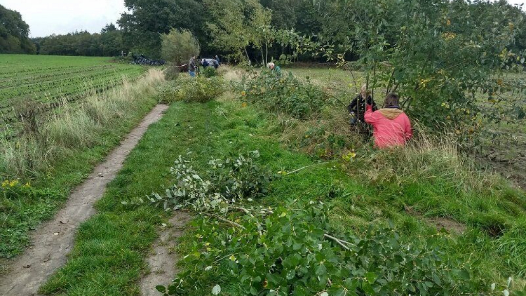 Foto: Nacht van de Nacht op 30 oktober