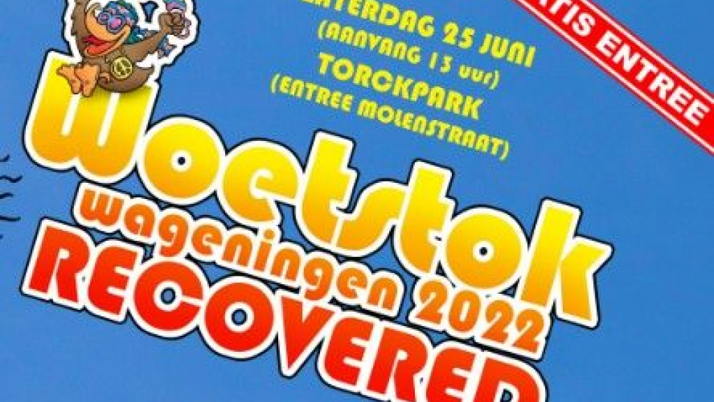 Foto: Zaterdag Woetstokfestival in Torckpark