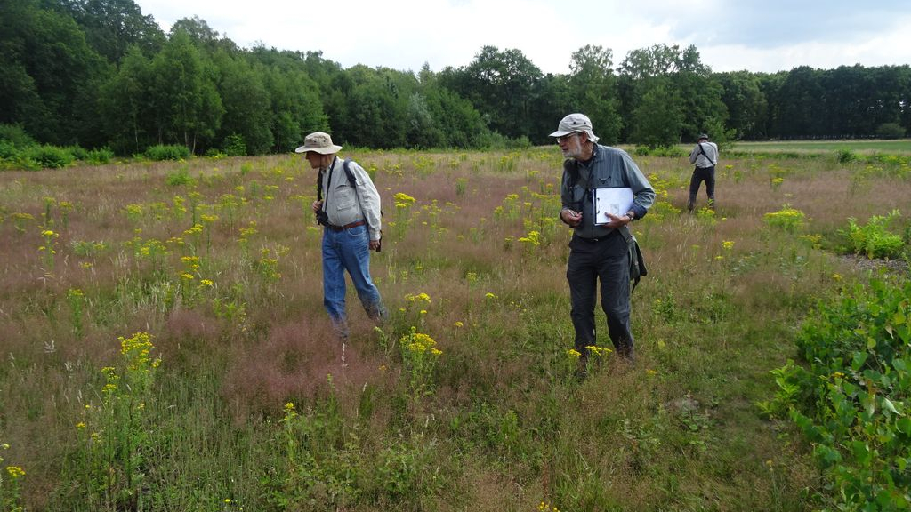 Foto: Inventarisatie Wageningse Eng