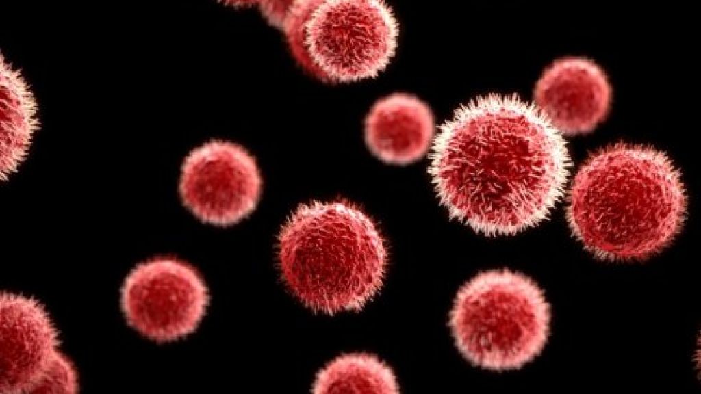 Foto: Europese miljoenenbeurzen voor twee Wageningse onderzoekers