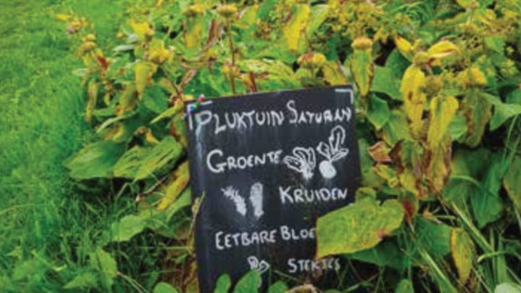 Foto: Excursie naar duurzame boeren en lokaal voedsel